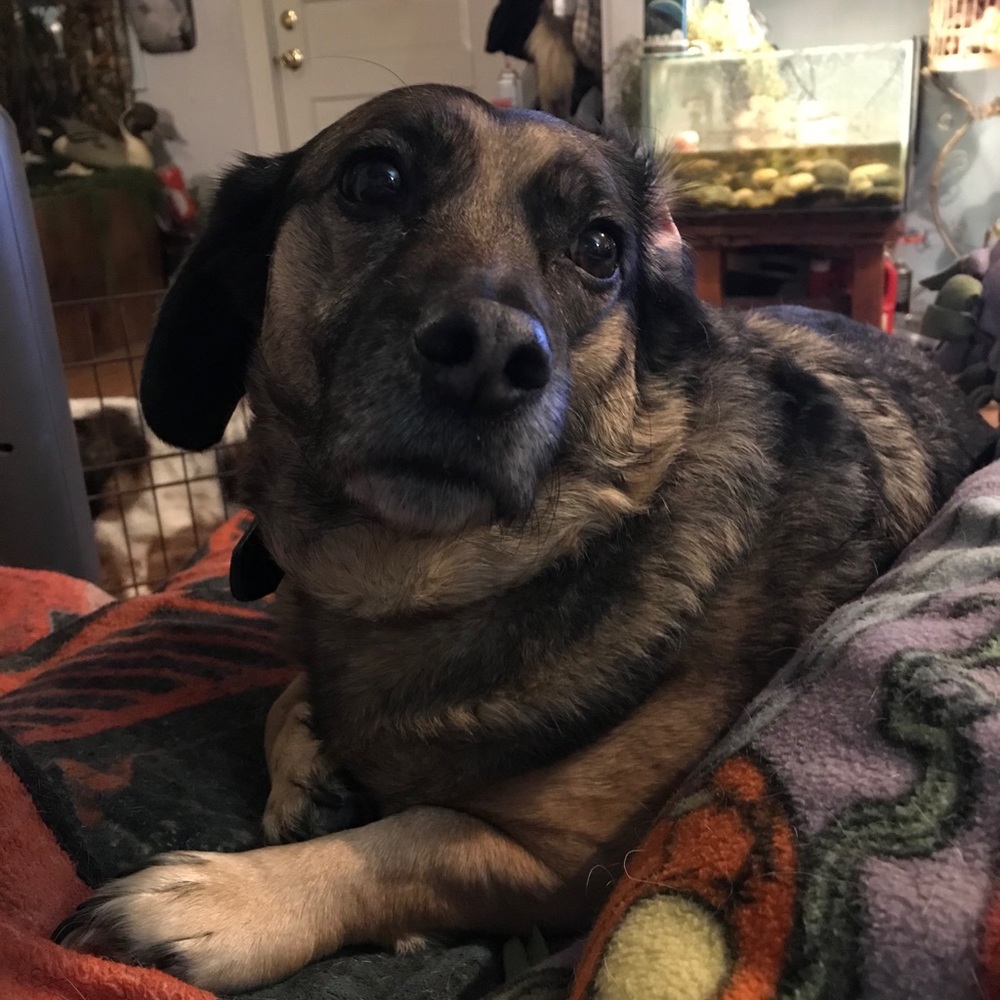 Meet your Posher, Kimberly